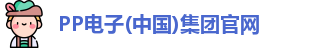 PP电子